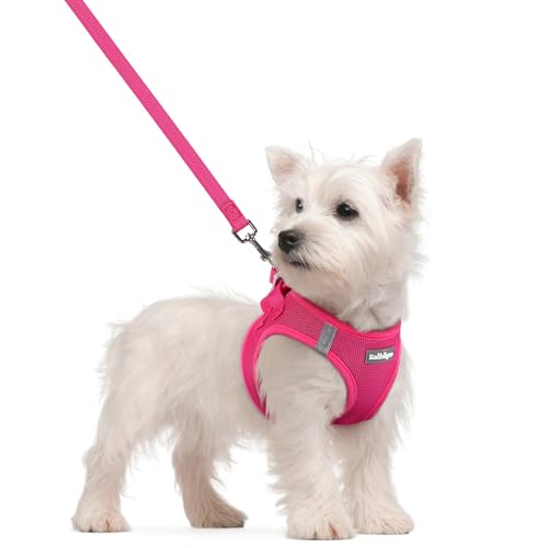 rabbitgoo Dog Harness Small Sized and Leash Set, Step in Soft Light Puppy Vest, Breathable Mesh Pet Harness, Reflective fo...