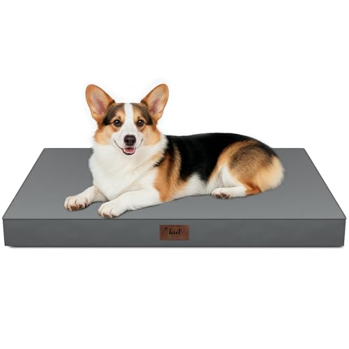 Tail Stories Outdoor Orthopedic Dog Bed, Waterproof Dog Bed for Large Dogs 36x27 Inch, Egg Crate Foam Pet Mat with Washabl...