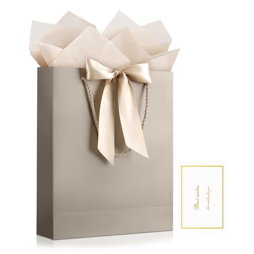 JMANNI Gift Bag, 1PCS Gift Bags with Ribbon and 1 Greeting Cards 2 Tissue Paper, Portable Paper Gift Bag with Handles, Bir...
