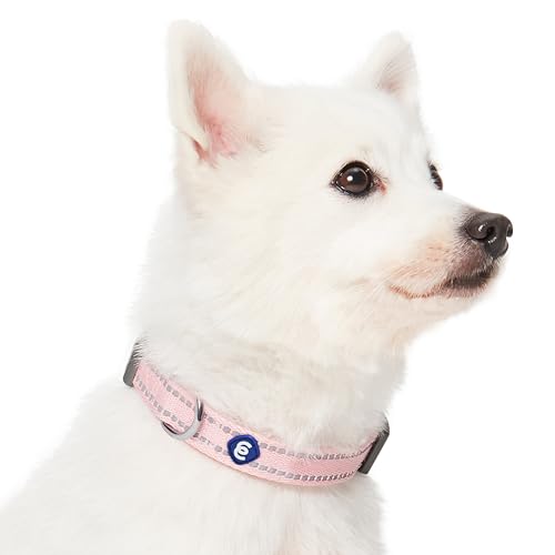 Blueberry Pet Essentials Matching Dog Collar & Leash Set | Pastel Reflective Adjustable Collar with 4 ft Lead for Large Do...