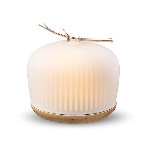 mimicat Quiet Aromatherapy Diffuser Glass: 230ML Ultrasonic Cool Mist Scent for Home with Night Light - Aesthetic for Wome...