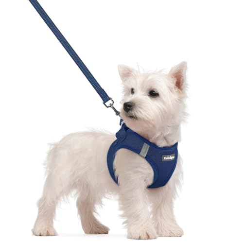 rabbitgoo Dog Harness Small Sized and Leash Set, Step in Soft Light Puppy Vest, Breathable Mesh Pet Harness, Reflective fo...