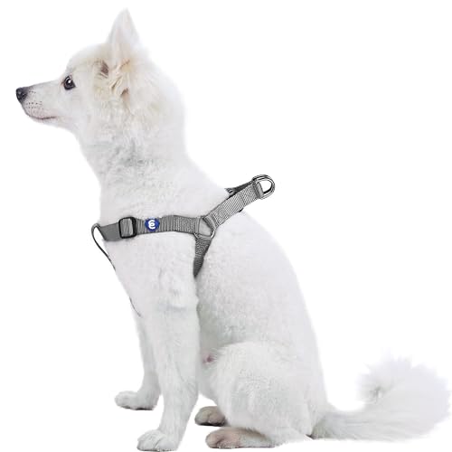 Blueberry Pet Essentials Step-in Dog Harness, Small Size | Adjustable Flint Gray Vest | Classic Solid Nylon for Boy & Girl...