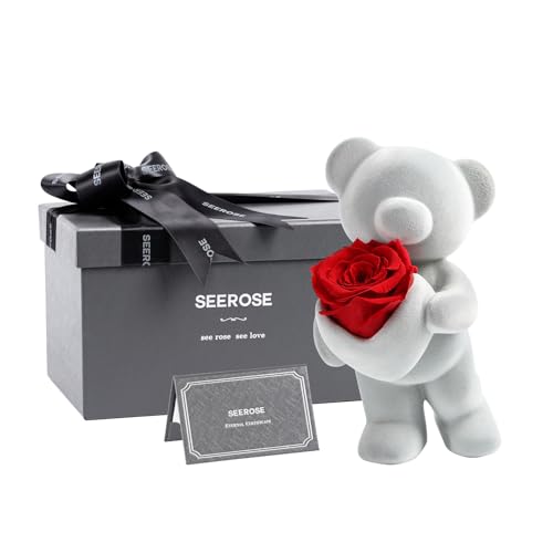 SEEROSE Preserved Rose with Cute Bear, Eternal Real Rose Last for Years, Romantic Flower Gift for Her, Wife, Girlfriend, V...
