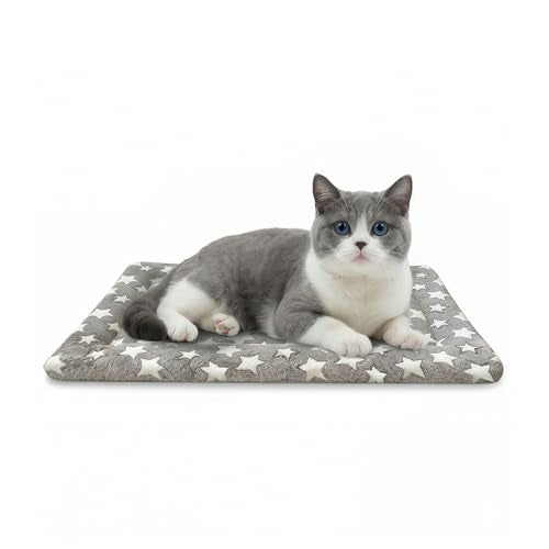 Dog Bed Mat, Dual-Sided Dog Crate Bed Mat - Ultra Soft & Machine Washable Kennel Pad for Cats and Extra Small Dogs, All-Se...