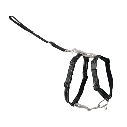 PetSafe 3-in-1 Harness - Comfortable Easy-Walk Dog Chest Harness with Front Leash Attachment to Reduce Pulling, Choking & ...
