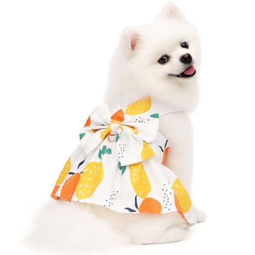 Small Dog Harness Dress Cat Princess Dresses Summer Lemon Clothes for Pet Female Puppy Outfit Cute Bow Tie Leash Set for S...