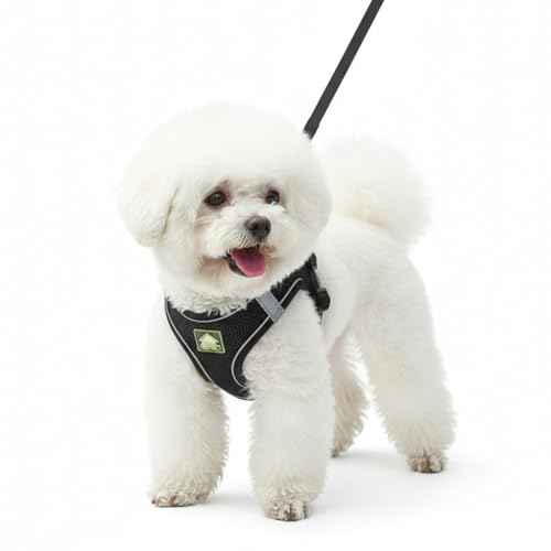 Dog Harness with Leash Set, No Pull Adjustable Reflective Step-in Puppy Harness with Thickened Padded Vest for Extra-Smal...