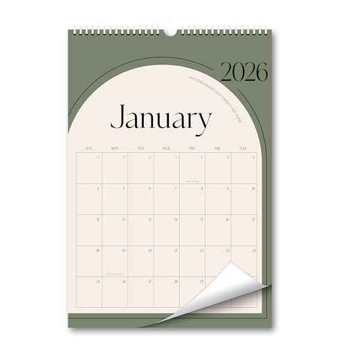 Aesthetic Wall Calendar 2026, 18 Monthly Vertical Calendar January 2026 to June 2027, 15" x 10" Modern Wall Hanging Calend...