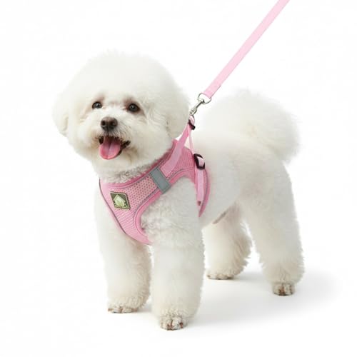 Dog Harness with Leash Set, No Pull Adjustable Reflective Step-in Puppy Harness with Thickened Padded Vest for Extra-Smal...