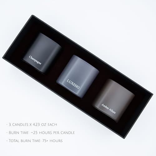 Luxury Scented Candle Set 3-Pack | Home Decor & Giftable Soy Candles | Champagne, Sandalwood & Amber | 75h Burn Time | Cot...