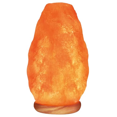 WBM LLC Himalayan Glow Natural Pink Salt Lamp, Crystal Salt Lamp Night Light with (ETL Certified) Brightness Control Dimme...