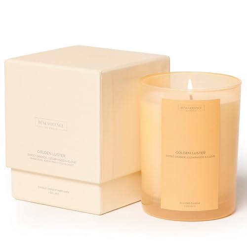 Orange, Cedarwood & Clove Scented Candle | 11oz, 60 Hour Burn | Natural Soy Wax, Cotton Wick | Soy Scented Candles for Hom...