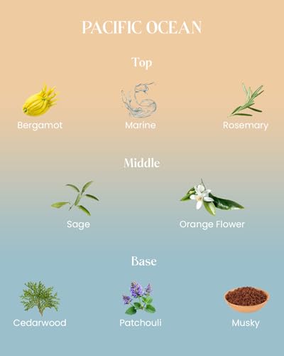 M&SENSE Summer Ocean Scented Candles for Home, 10.6oz Natural Soy Wax, 60-Hour Clean Non Toxic Aromatherapy Candle, Marine...