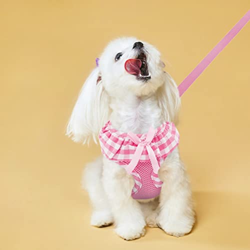 EXPAWLORER Cute Dog Harness and Leash Set - Pink Girl Dog Harness Checkered Step-in Design, Easy Adjustable No-Choke Light...