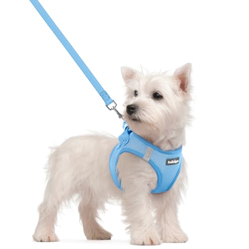 rabbitgoo Dog Harness Small Sized and Leash Set, Step in Soft Light Puppy Vest, Breathable Mesh Pet Harness, Reflective fo...
