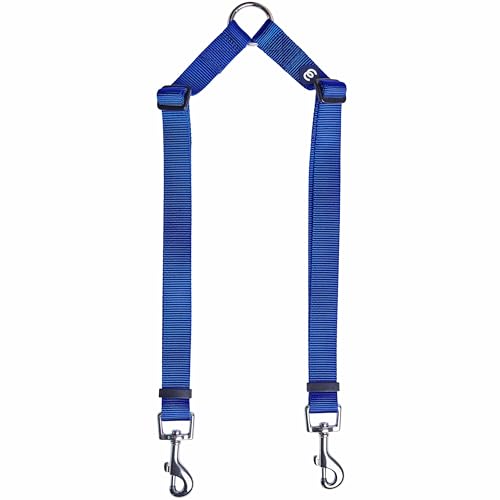 Blueberry Pet Essentials Durable Classic Double Dog Leash Coupler, Royal Blue, Small, Dual Walking & Training Leashes for ...