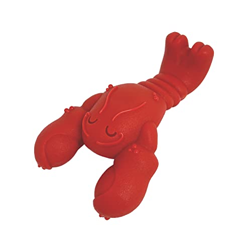 Nylabone Lobster Power Chew Toy for Dogs, Dog Toys for Aggressive Chewers, Filet Mignon Flavor, Small Dogs - Up to 25 Ibs,...