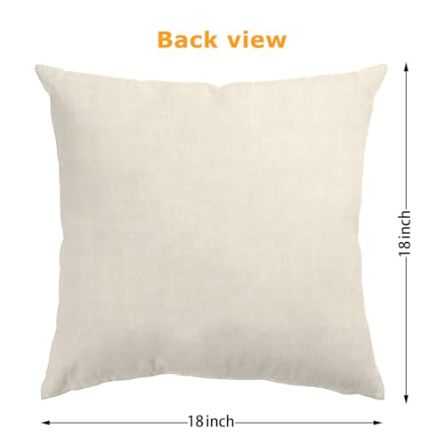 ONFAON Spring Decorations for Home - Spring Pillow Covers 18x18, Outdoor Pillow Covers Springtime Farmhouse Throw Pillow C...
