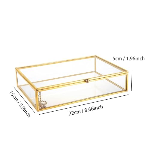 Feyarl Gold Glass Jewelry Trinket Box 5 x 7 Photo Cards Shadow Lidded Box Organizer Collection Display Case Decorative Kee...