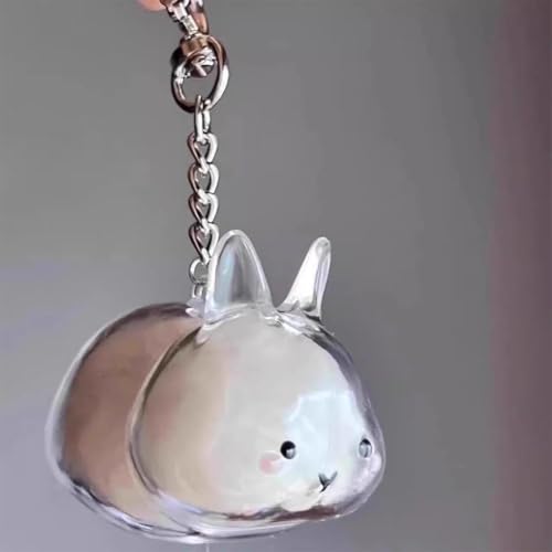 Bunny Fur Keepsake Keychain, Transparent Rabbit Hair Storage Bottle, Pet Hair Container Keychain, Bunny Lover Collecting Gift