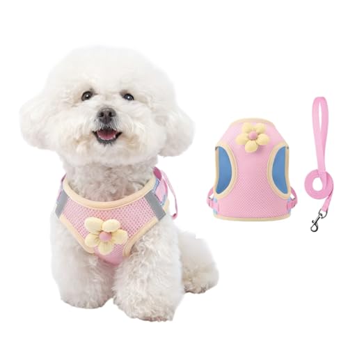 Floral Mesh Dog Harness with Matching Leash, Lightweight Pet Vest,Suitable for Small and Medium-Sized Cats and Dogs to Wea...
