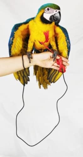 Adjustable Bird Harness with 78.7 Inch Leash, Outdoor Flying Training Rope Kit for Bird Parrots, Parrot Flying Rope Straps...