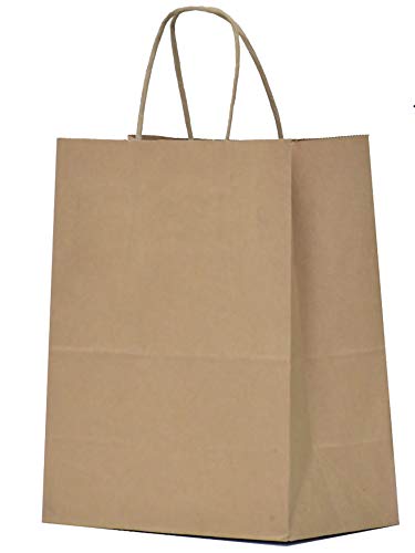 Qutuus Kraft Paper Gift Bags with Handles 8x4.5x10 25Pcs Brown Gift Bags Bulk Medium Size Small Business Bags, Party Bags,...