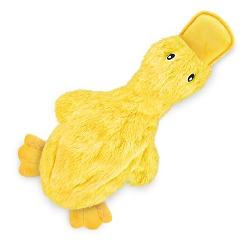 Best Pet Supplies Interactive Squeaky Dog Chew Toy, Ideal Dog Toys for Chewers, Small, Medium & Large Dogs, and Fetch Love...