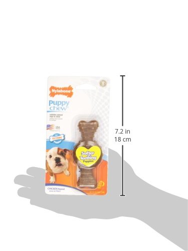 Nylabone Ring Bone Chew Toy for Puppies, Puppy Teething Toys, Puppy Enrichment Toys, Chicken Flavor, X-Small Dogs - Up to ...