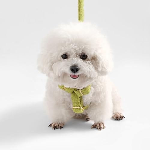 THE LICKER Store WLK1001B-4SET Teddy Small Bouclé Adjustable H Harness and Leash Walk Set with Poop Bag Pouch, Citron