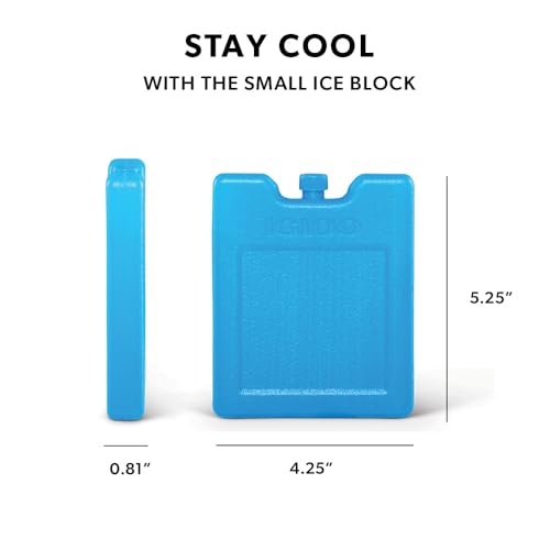 Igloo Maxcold Ice Block