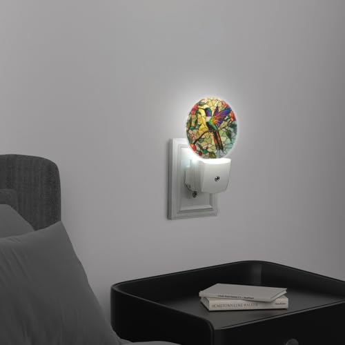 Mearafois LED Night Lights Lamp with Dusk to Dawn Sensor, Colorful Hummingbird Perched On Branch Night Light Plug Into Wal...