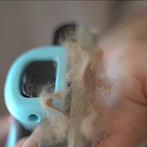 Petgle Cat Brush & Cat Comb for Shedding, 2.5inch Blue - Hair Brush for Long Hair and Short Hair, Pet Grooming Tool for Sm...