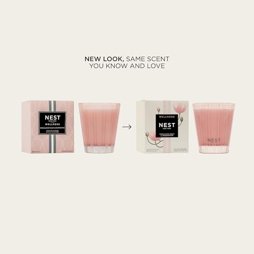 NEST New York Scented Classic Candle, Himalayan Salt & Rosewater - 8.1 oz - Up to 60-Hour Burn Time - Reusable Glass Vessel