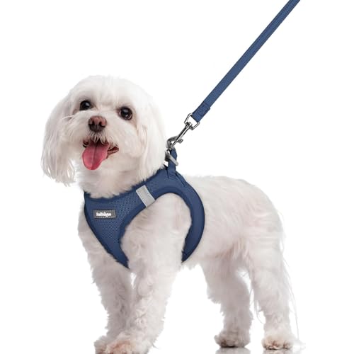 rabbitgoo Dog Harness Small Sized and Leash Set, Step in Soft Light Puppy Vest, Breathable Mesh Pet Harness, Reflective fo...
