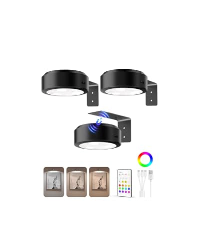 EZVALO Picture Lights for Wall, 2000mAh Rechargeable Battery Magnetic Poster Lights with 3 Color Temps & 12 RGB, Remote Di...