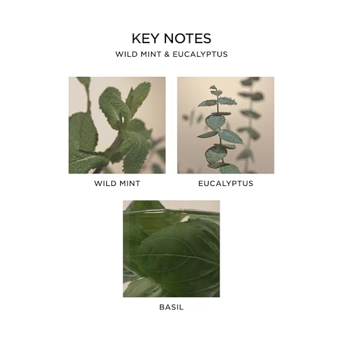 NEST New York Reed Diffuser, Wild Mint & Eucalyptus - 5.9 fl oz - Fragrance for Up to 90 Days - Reusable, Refillable Glass...
