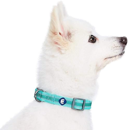 Blueberry Pet Essentials Matching Large Dog Collar | Adjustable Classic Solid Color Nylon Dog Collars for Large Dogs | Ref...