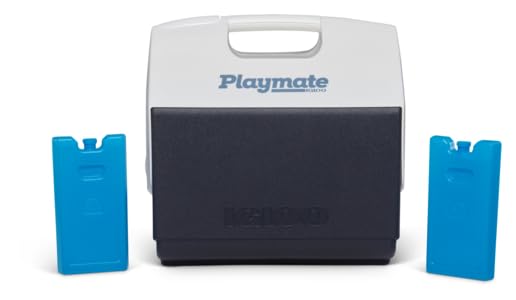 Igloo Maxcold Ice Block