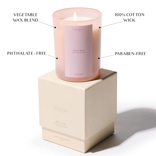 Benevolence LA Beach Rose Gift Box | Candle, Room Spray & Reed Diffuser | Rose & Sandalwood | Elegant Home Fragrance | Rea...