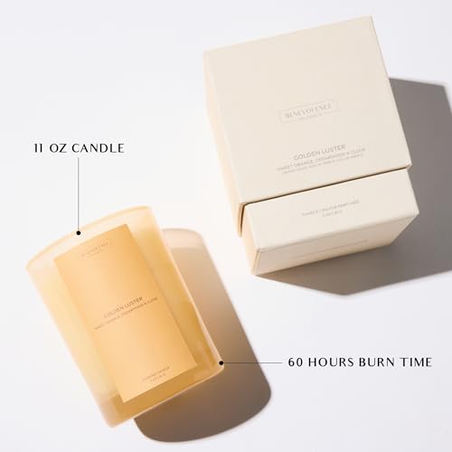 Orange, Cedarwood & Clove Scented Candle | 11oz, 60 Hour Burn | Natural Soy Wax, Cotton Wick | Soy Scented Candles for Hom...