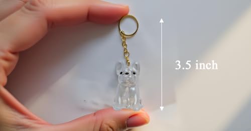 BeSpace Dog Hair Collector Keychain Charm Memorial Storage Box,Pet Fur Collection Transparent Capsule,Dog Hair Memorial Ke...