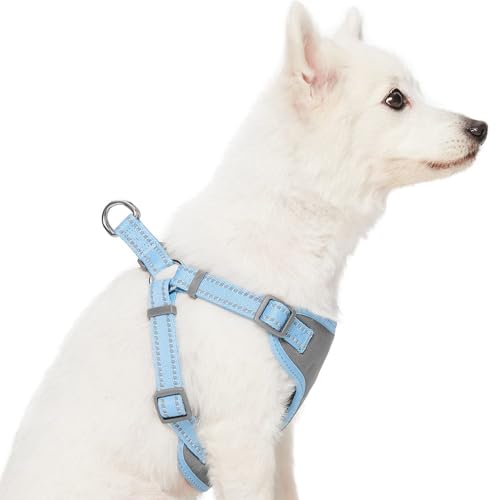 Blueberry Pet Matching Reflective Harness and Leash Set | Adjustable Pastel Vest with Lead for Dogs – Great Value Gift Set...