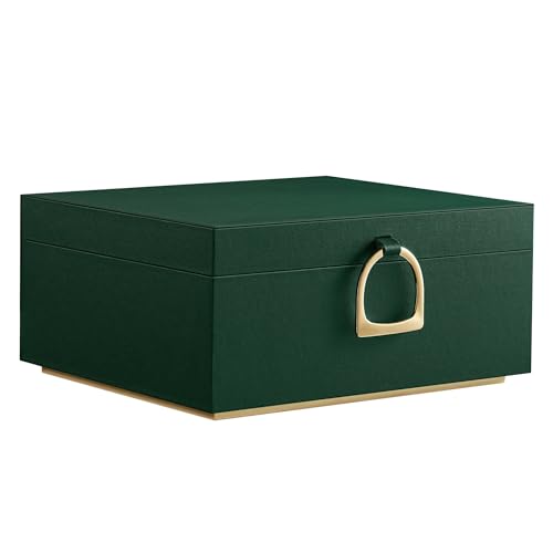 SONGMICS 2-Layer Jewelry Box, Jewelry Organizer with Handle, Removable Jewelry Tray, Jewelry Storage, Floating Effect, 8.1...