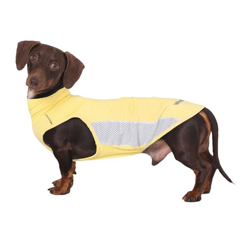 WienieDay Dachshund Dog Cooling Vest, Breathable Summer Dog Cooling & Quick-Dry Shirt for Outdoor Activities,Mini Dachshun...