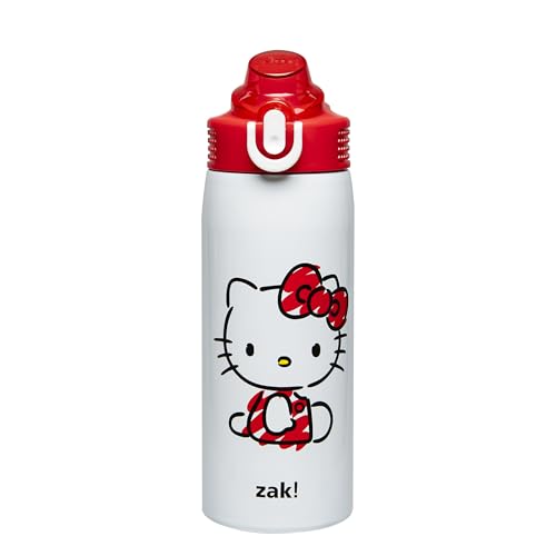 Zak Designs Sanrio Sage Kids Water Bottle For School or Travel, 19oz Stainless Steel Water Bottle With Straw, Handle, and ...
