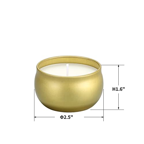 qinxiang Scented Candles Gifts Set,16 Pack Natural Soy Wax Travel Tin Jar Candles for 2.5 OZ Aromatherapy Candles for Fami...