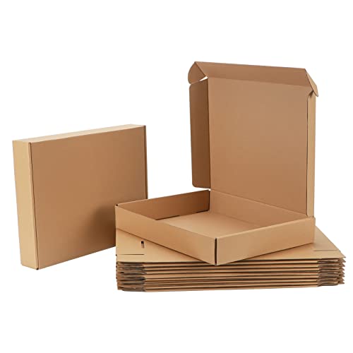 Pemtow 13x10x2 Shipping Boxes Set of 20, Brown Corrugated Cardboard Literature Mailer Box for Packaging, Mailing, Business