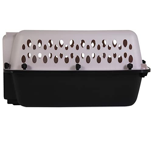 Petmate Fashion Vari Kennel, 19", for Dogs Up to 10 Lbs, 19.1"L x 12.6"W x 10.0"H, Made in USA